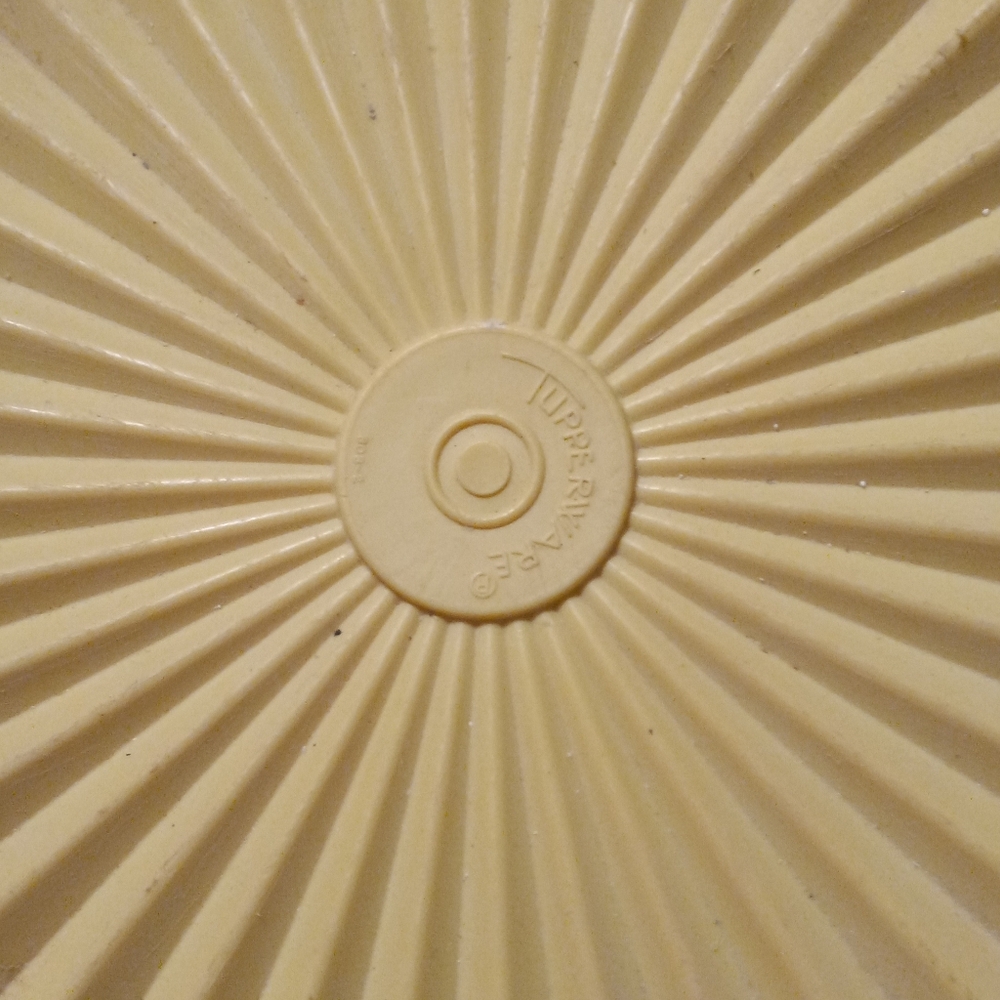Vintage 1970.tupperware container
